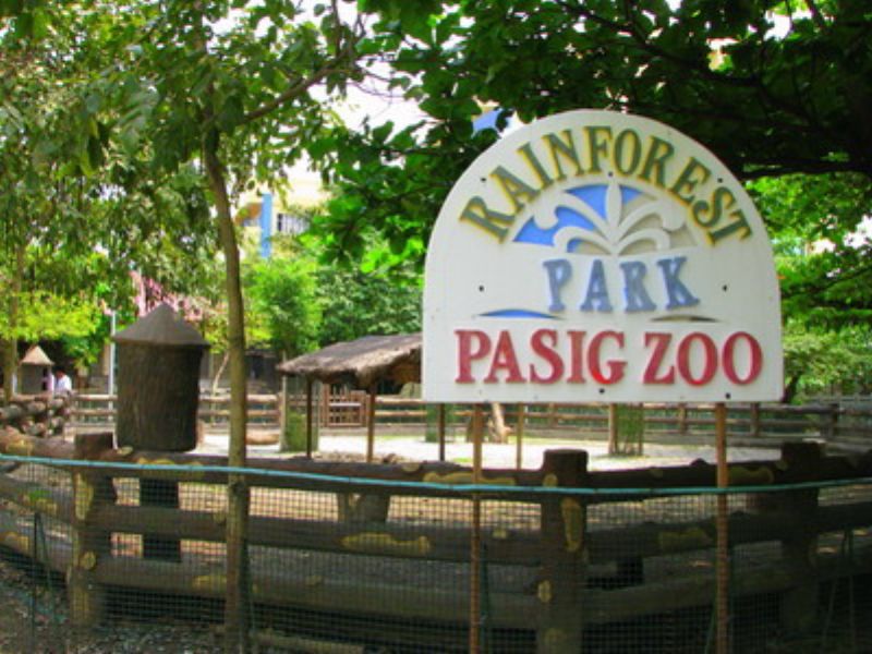 Rainforest Park