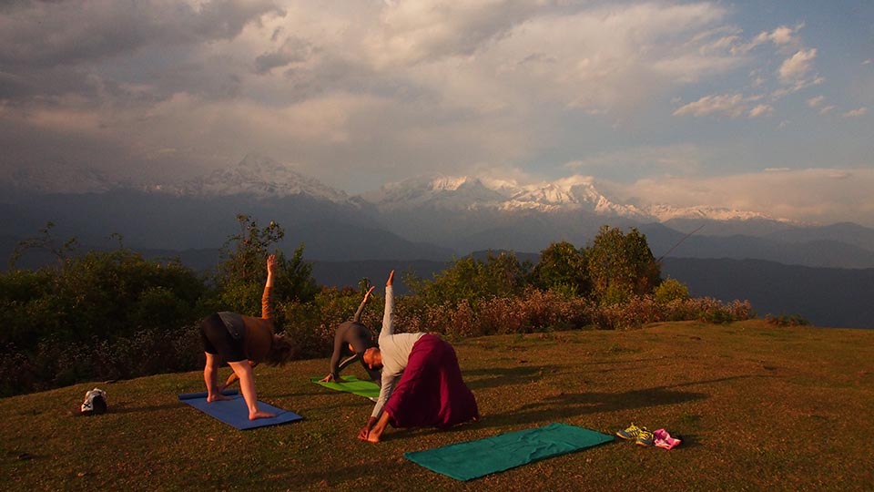 Evolution Yoga