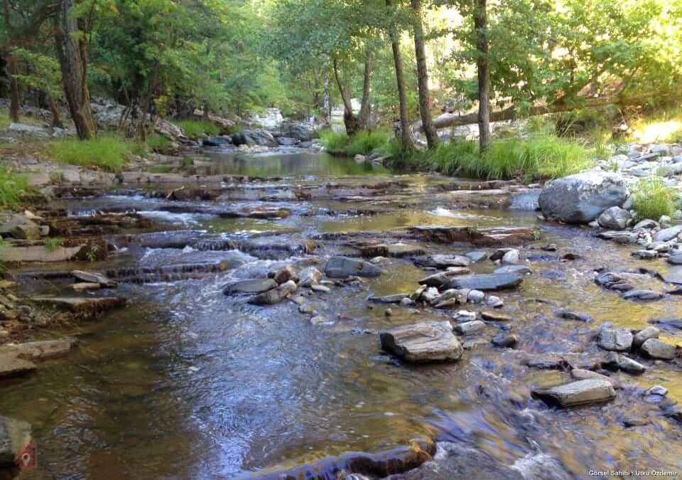 Outdoor Pictures 1