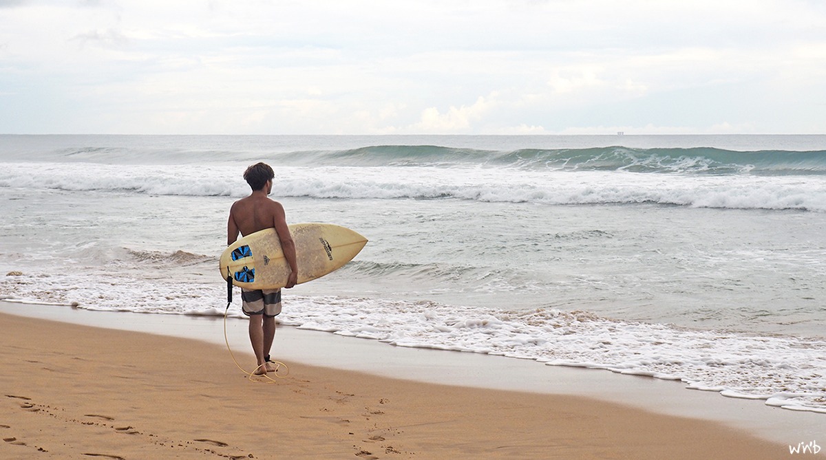 Dylan's Surf Company