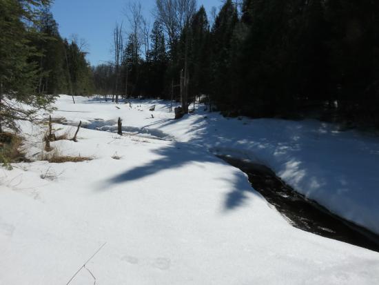 Snowdon Park Preserve