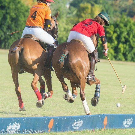 Apes Hill Polo Club