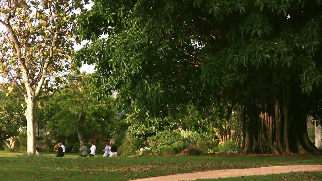 Bermuda Botanical Gardens