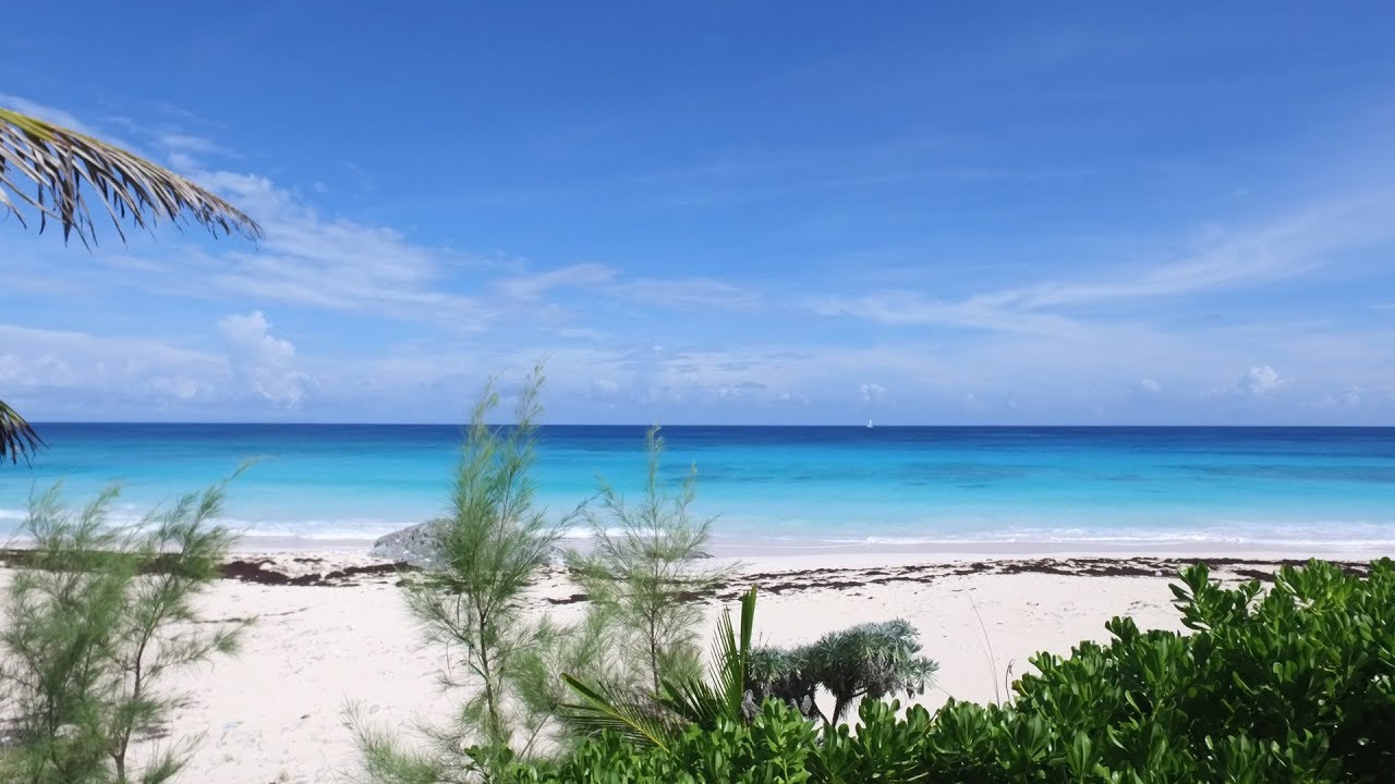 Guana Cay Beach