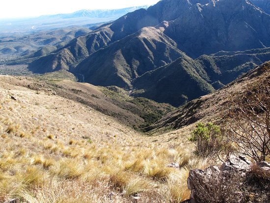 Agua de los Palos