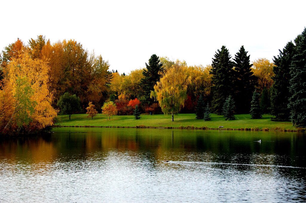 William Hawrelak Park