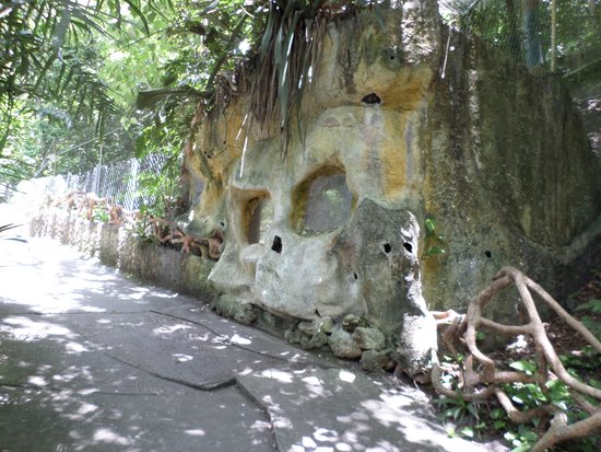 Petencito Zoo