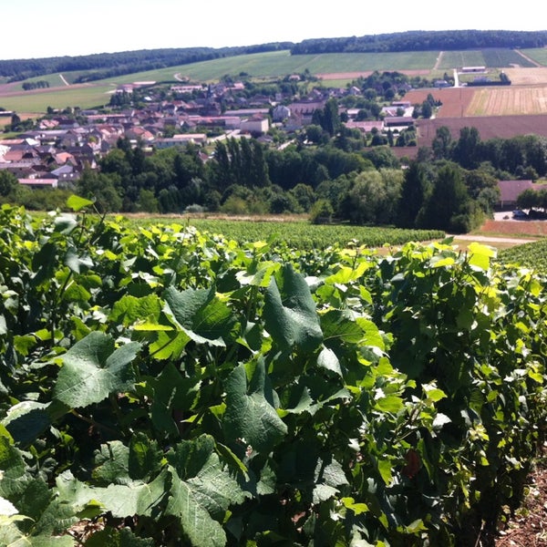 Vignoble J.O. Montpetit & Fils