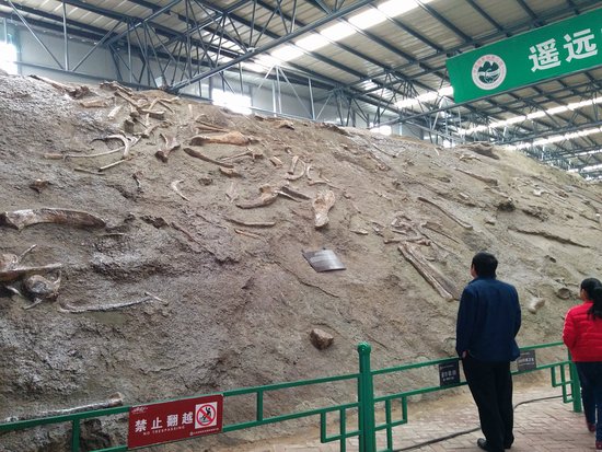 Zhucheng Museum
