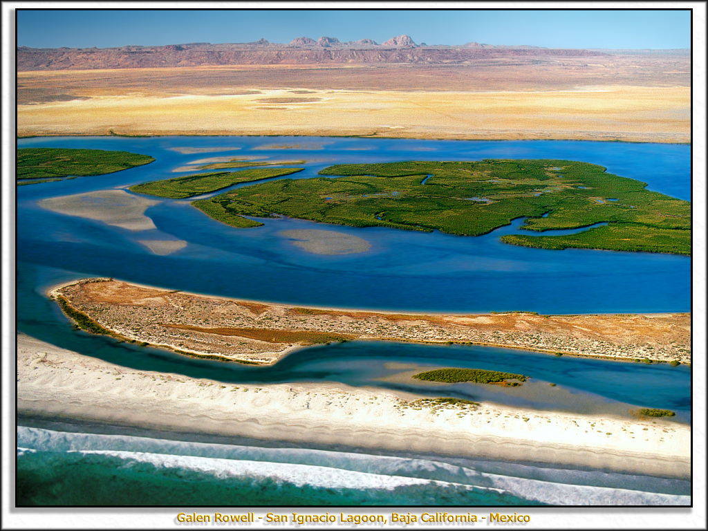 San Ignacio Lagoon