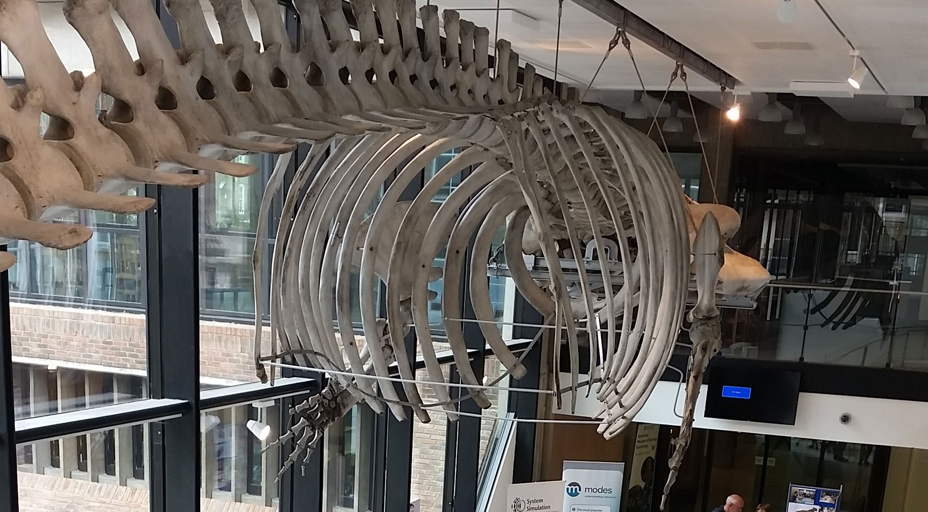 University Museum of Zoology