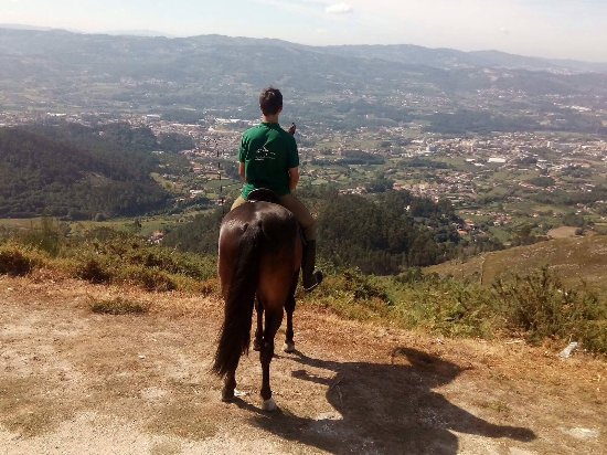 Quinta de Lamoso