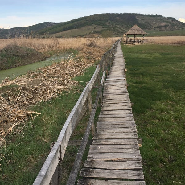 Stufarisurile de la Sic