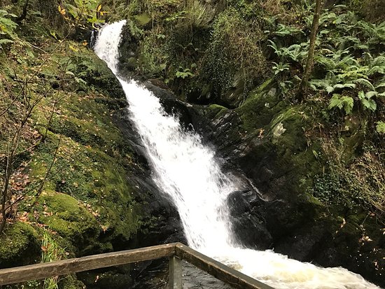 Dolgoch Falls