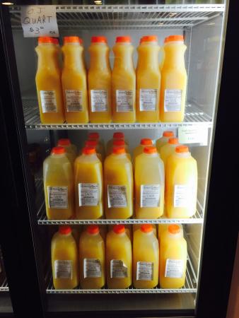 Sunsational Citrus