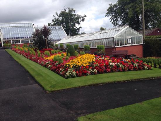 Ardencraig Gardens