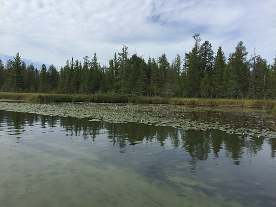 Grass River Natural Area