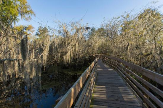 Lettuce Lake Regional Park