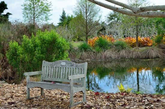 Palma Sola Botanical Park