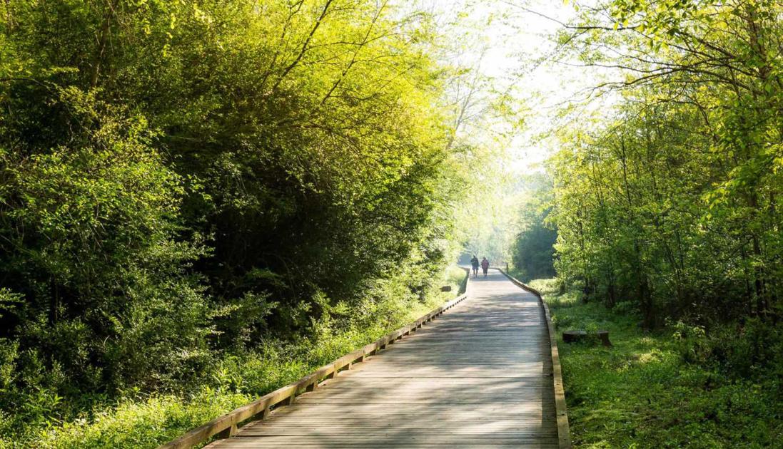 Suwanee Creek Greenway