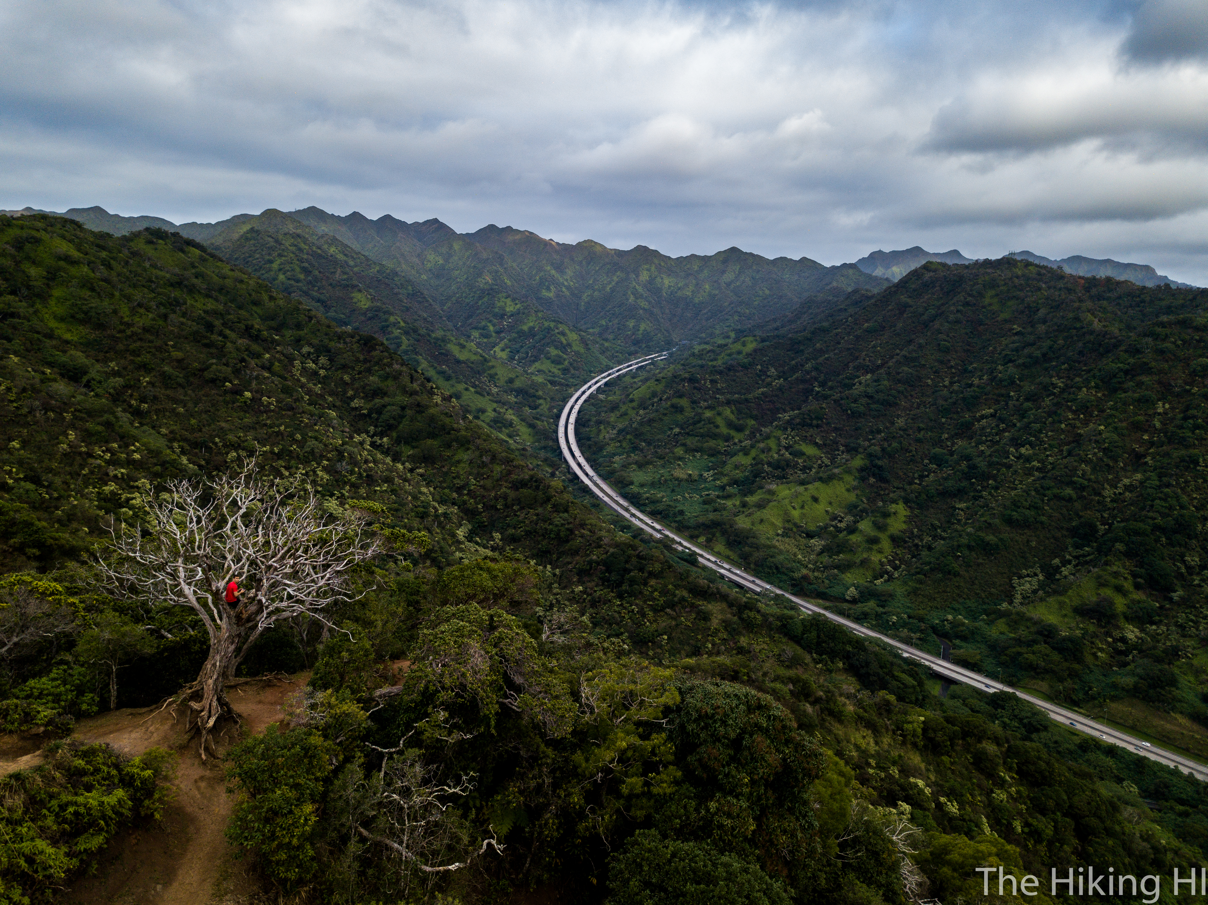 Aiea Loop Trail