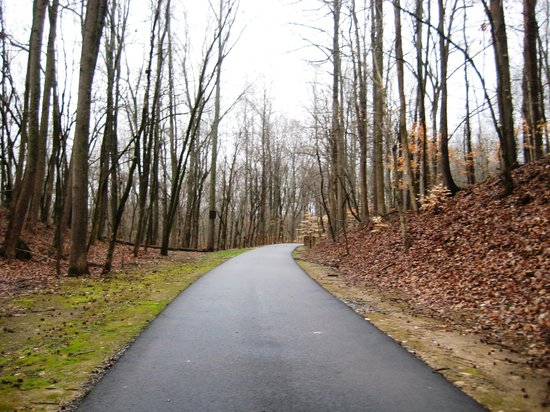 Outdoor Pictures 1