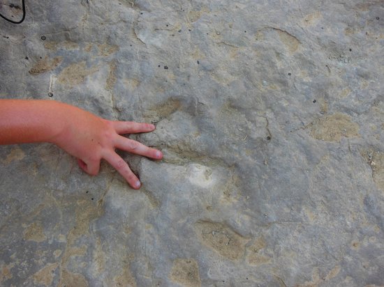 Red Gulch Dinosaur Tracks