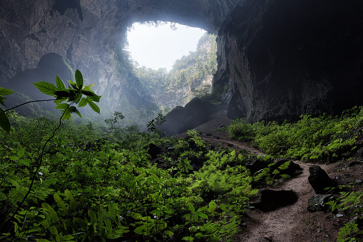 Forest Hill Caves