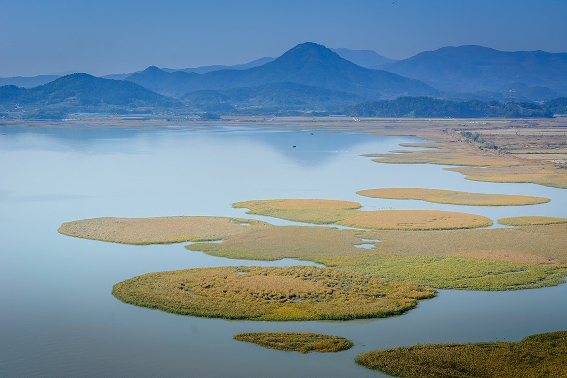 South Dagang Wetland