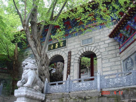 Tongbai Memorial Hall