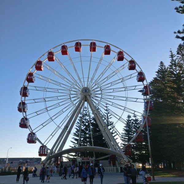 Tourist Wheel Fremantle