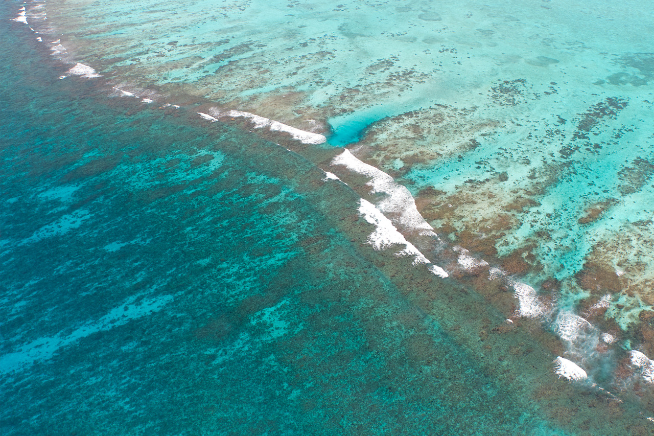 Mesoamerican Reef (Belize Barrier Reef)