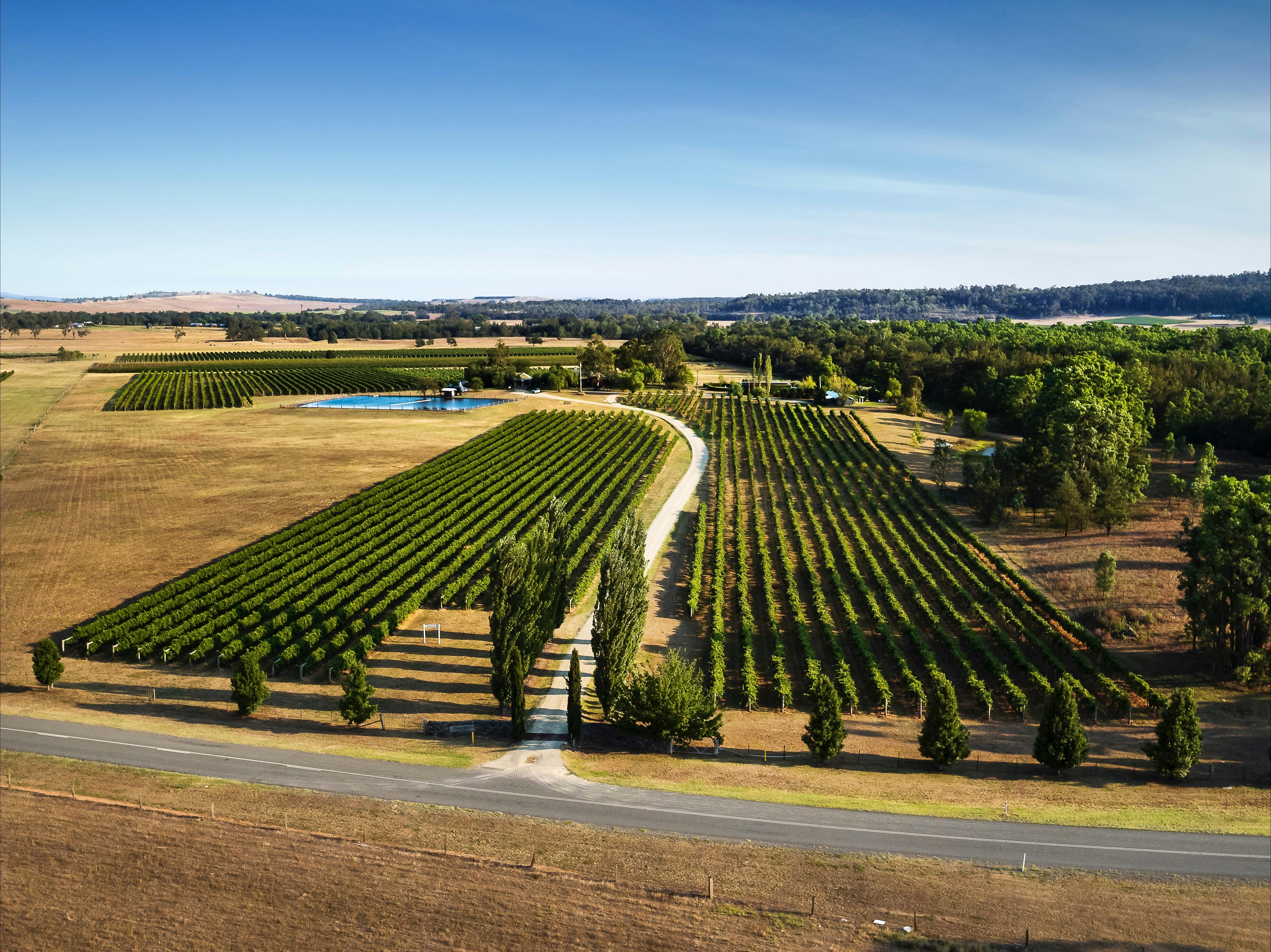 Tinonee Vineyard Estate