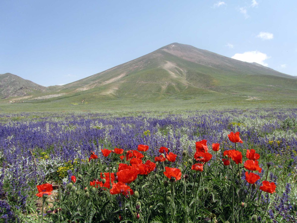 Sahand Mountain