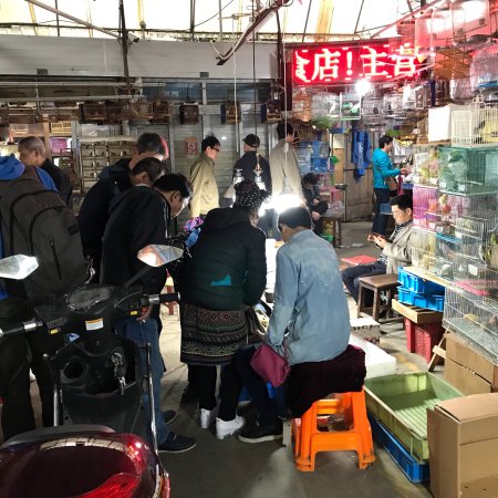 Yangpu Park bird and flower Market