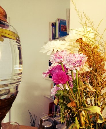 Osana Family Wellness