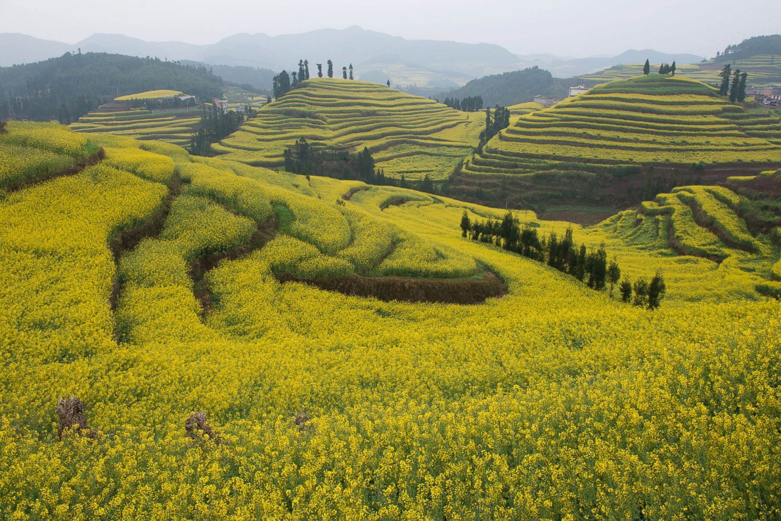 Luoping county