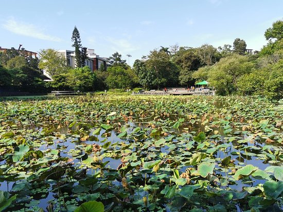 Taipei Botanical Garden - Ginger Park