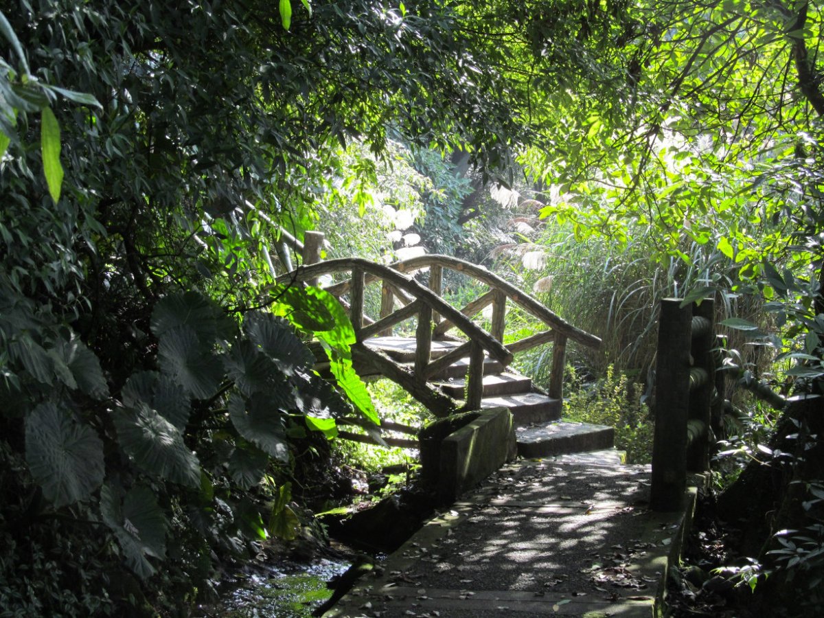 Yangmingshan Bamboo Lake