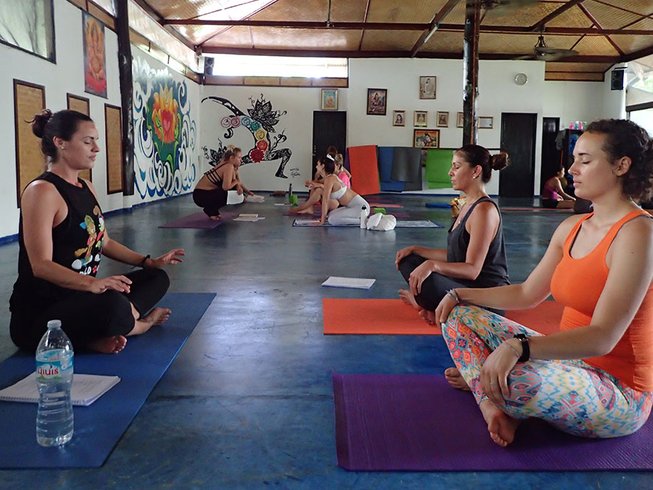 Luna Alignment Yoga