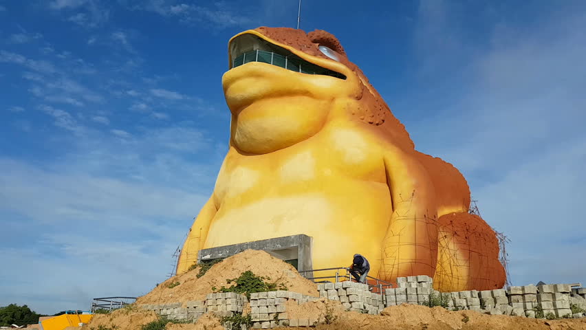 The Toad Museum