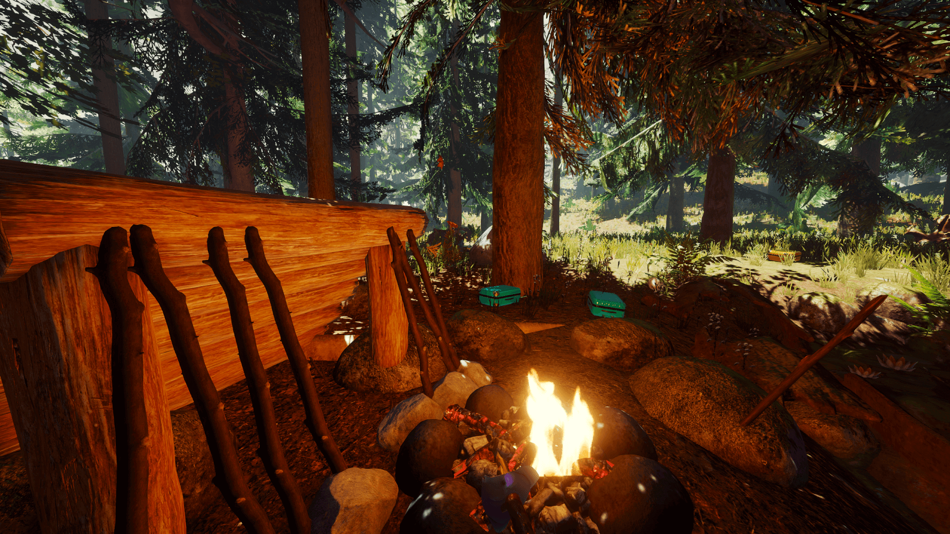 Song of the Forest