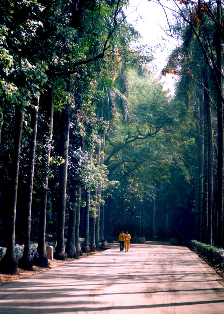 Jiayi Botanic Garden