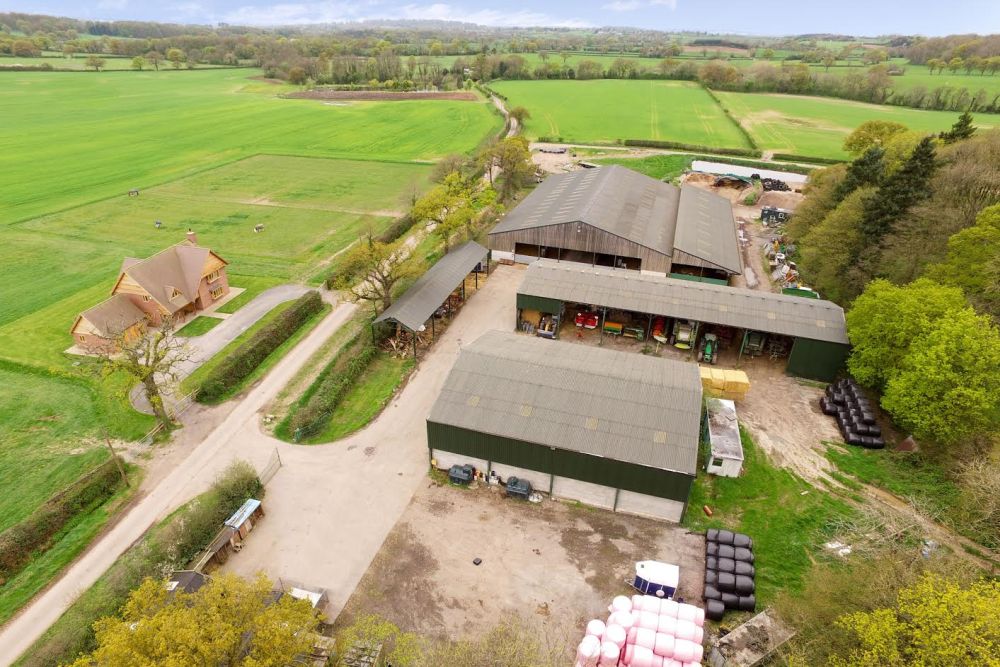 Dashan Farm