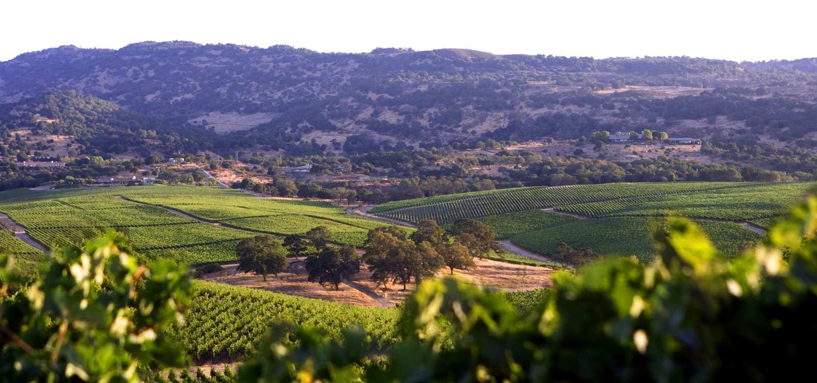 Rued Winery