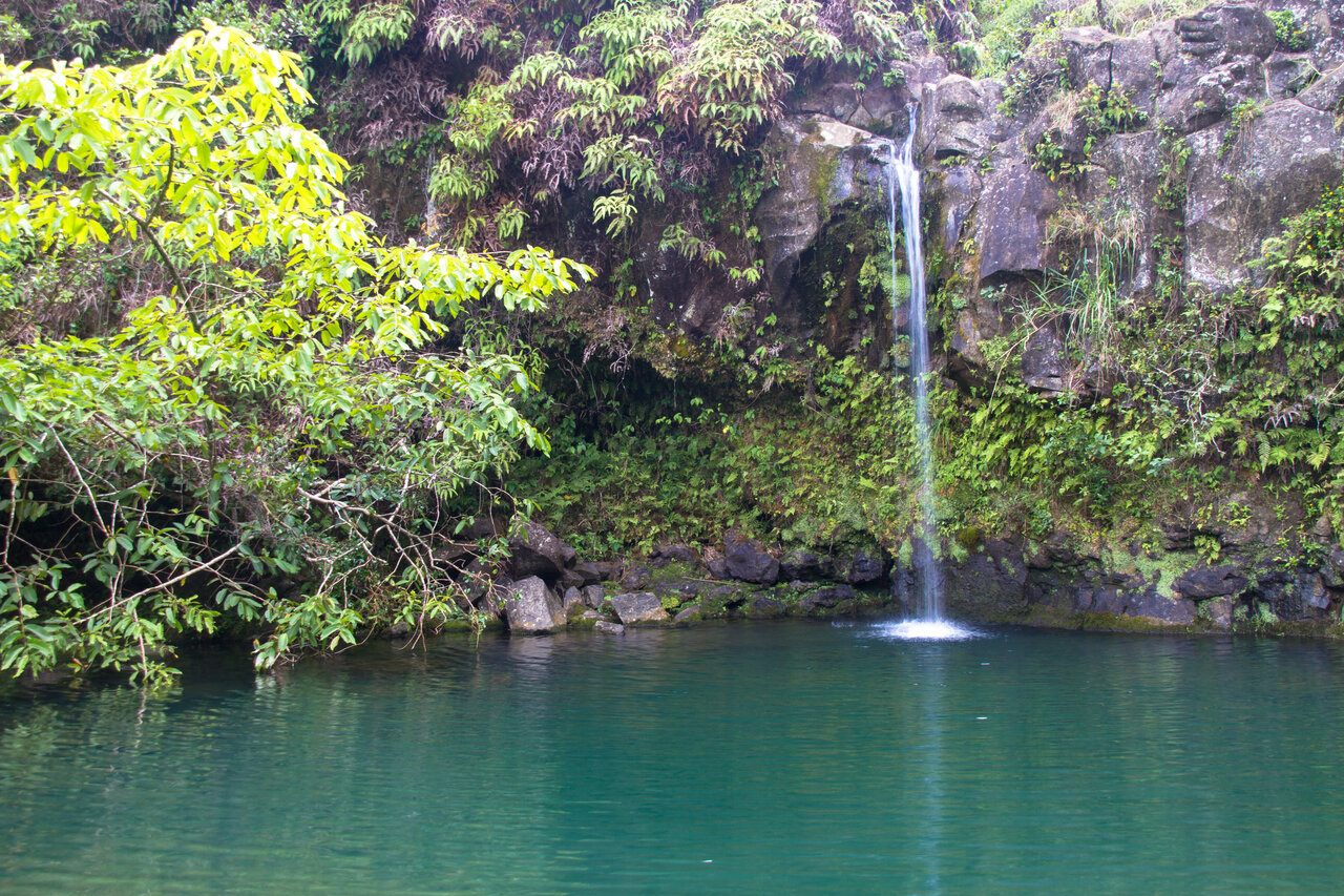 Pua'a Ka'a State Park