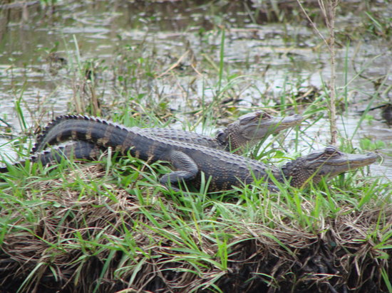 Kissimmee River Basin