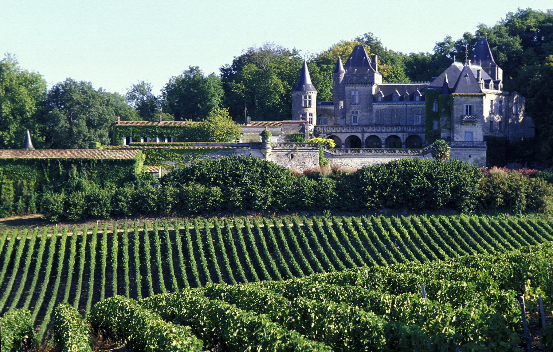 Trillium Vineyard LLC
