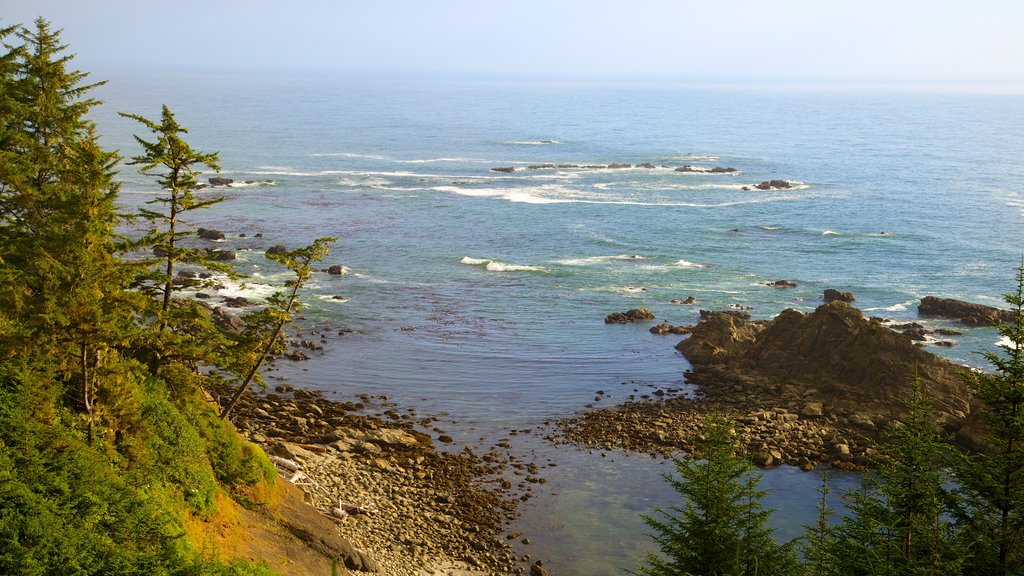 Cape Arago State Park
