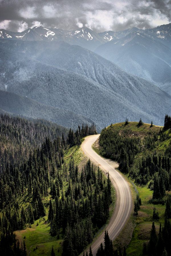 Hurricane Ridge Road
